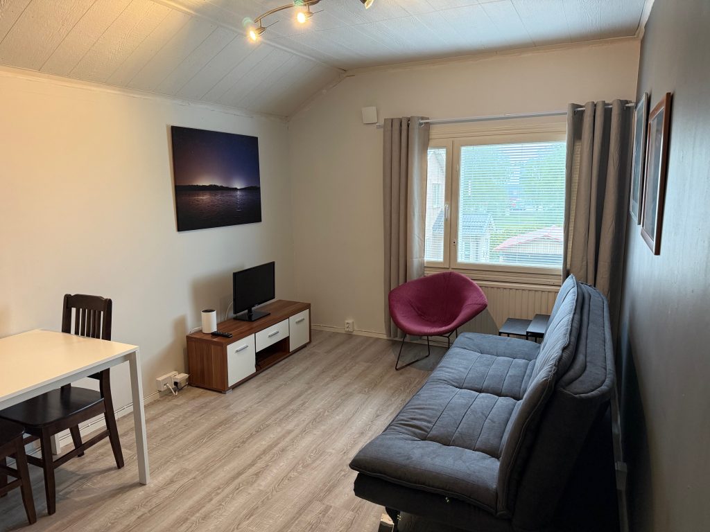 Kukonkarinkatu 11 olohuone